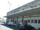 Goëlands sur un bâtiment
